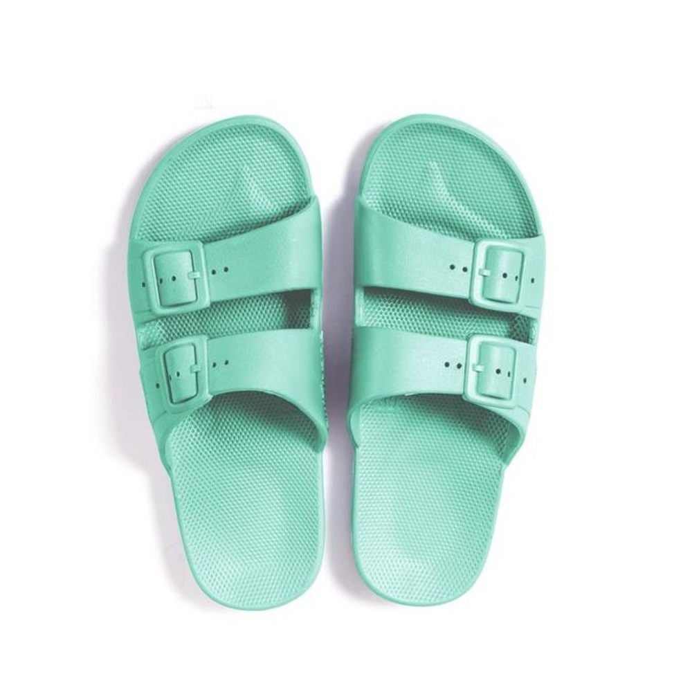 Freedom Moses Slides